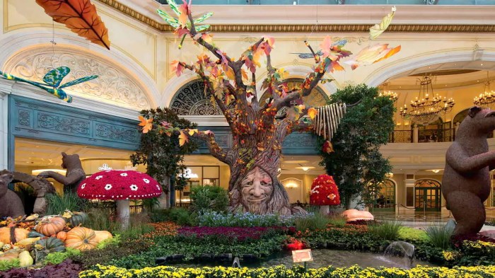 Bellagio conservatory vegas peacock